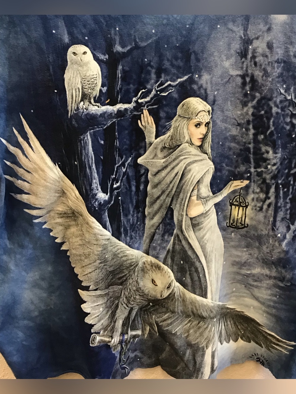 NEW The Mountain Midnight Messenger Owl Snow Mystical Tee Medium